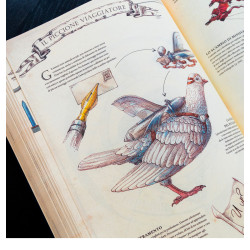Tavola tratta da The Book