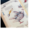 Tavola tratta da The Book